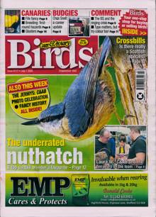 Cage And Aviary Birds Magazine  Order Online