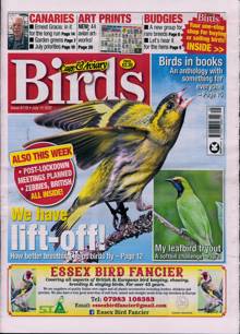 Cage And Aviary Birds Magazine  Order Online