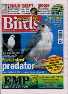 Cage And Aviary Birds Magazine  Order Online