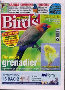 Cage And Aviary Birds Magazine  Order Online
