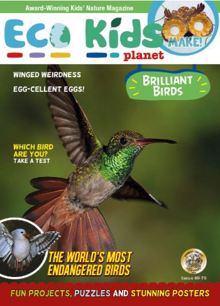 Eco Kids Planet Magazine  Order Online