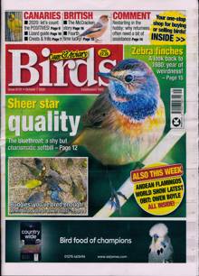 Cage And Aviary Birds Magazine  Order Online
