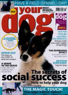 Your Dog Magazine  Order Online