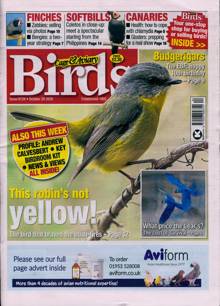 Cage And Aviary Birds Magazine  Order Online