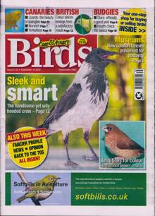 Cage And Aviary Birds Magazine  Order Online