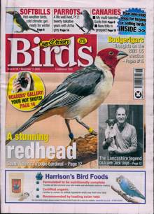 Cage And Aviary Birds Magazine  Order Online