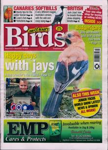 Cage And Aviary Birds Magazine  Order Online