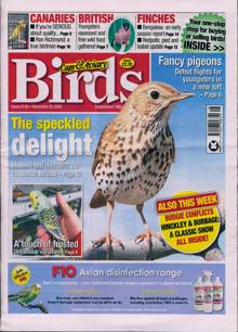 Cage And Aviary Birds Magazine  Order Online