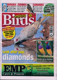 Cage And Aviary Birds Magazine  Order Online