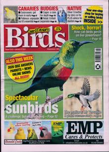 Cage And Aviary Birds Magazine  Order Online