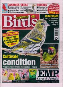 Cage And Aviary Birds Magazine  Order Online