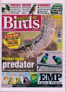 Cage And Aviary Birds Magazine  Order Online