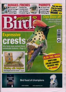 Cage And Aviary Birds Magazine  Order Online
