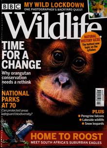 Bbc Wildlife Magazine  Order Online