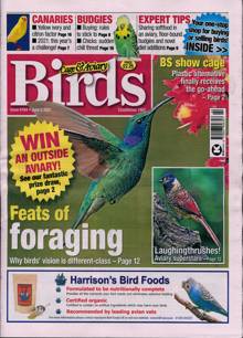 Cage And Aviary Birds Magazine  Order Online