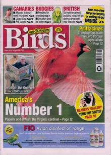 Cage And Aviary Birds Magazine  Order Online