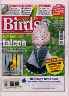 Cage And Aviary Birds Magazine  Order Online