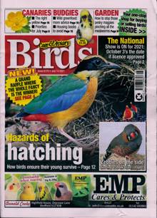 Cage And Aviary Birds Magazine  Order Online