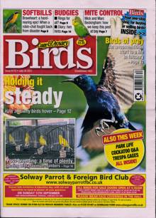 Cage And Aviary Birds Magazine  Order Online