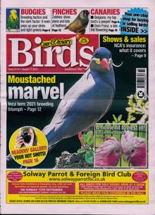 Cage And Aviary Birds Magazine  Order Online