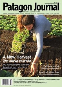 Patagon Journal Magazine  Order Online