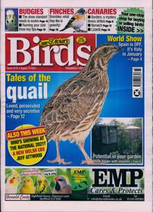 Cage And Aviary Birds Magazine  Order Online