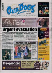 Our Dogs Magazine  Order Online
