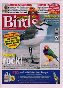 Cage And Aviary Birds Magazine  Order Online