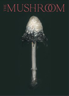 The Mushroom Magazine Issue 03 Order Online