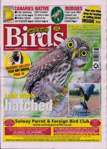Cage And Aviary Birds Magazine  Order Online