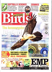 Cage And Aviary Birds Magazine  Order Online