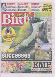 Cage And Aviary Birds Magazine  Order Online