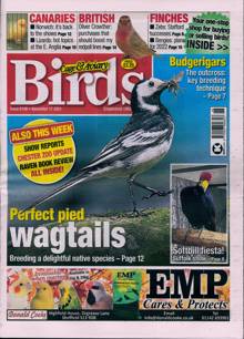 Cage And Aviary Birds Magazine  Order Online