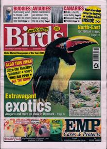 Cage And Aviary Birds Magazine  Order Online