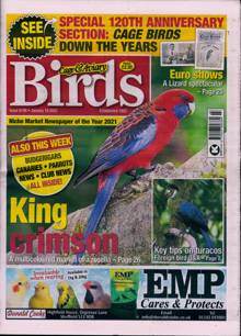 Cage And Aviary Birds Magazine 19/01/2022 Order Online