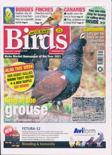 Cage And Aviary Birds Magazine  Order Online