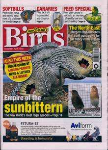 Cage And Aviary Birds Magazine  Order Online