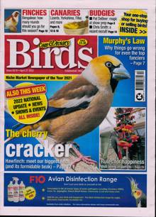 Cage And Aviary Birds Magazine  Order Online