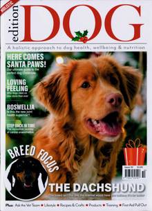 Edition Dog Magazine  Order Online