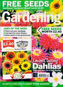 Amateur Gardening Magazine  Order Online