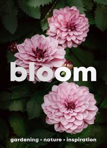 Bloom Magazine Issue Issue 16