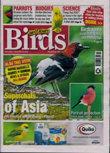 Cage And Aviary Birds Magazine Issue 22/11/2023
