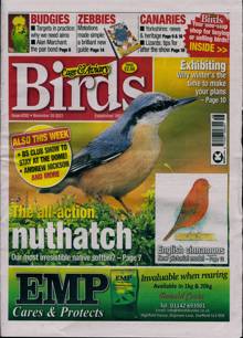 Cage And Aviary Birds Magazine Issue 29/11/2023