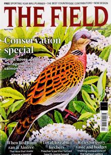Field Magazine  Order Online