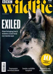 Bbc Wildlife Magazine Issue SPRING
