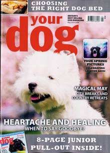 Your Dog Magazine Issue MAY 24