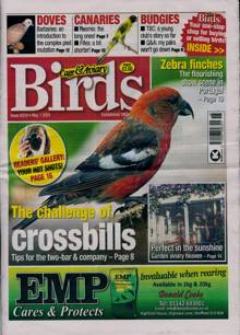 Cage And Aviary Birds Magazine 01/05/2024 Order Online