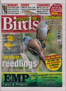 Cage And Aviary Birds Magazine 08/05/2024 Order Online