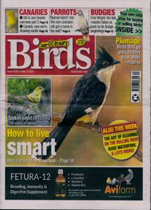 Cage And Aviary Birds Magazine  Order Online