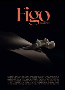 Figo Collective English Magazine  Order Online